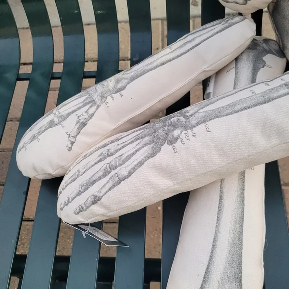New John Derian XL Skeleton pillow home decor goth Gothic apothecary skull